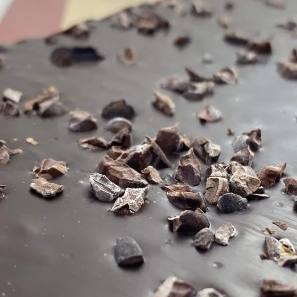 Todos nuestros productos