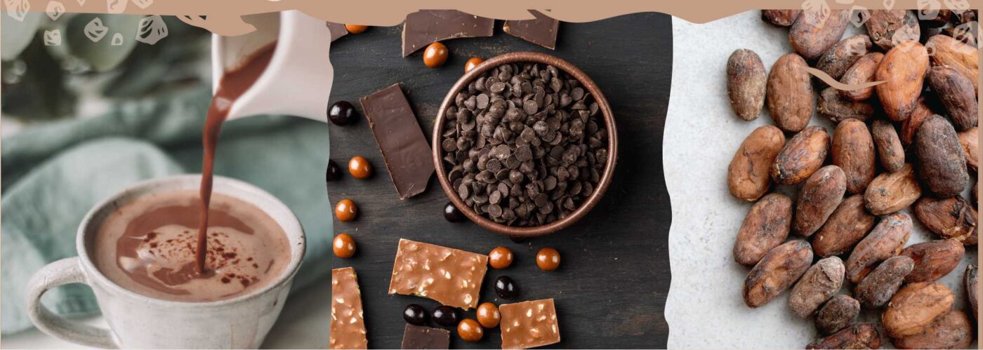 Chocolate artesanal de la Alpujarra con cacao, tabletas y taza de chocolate caliente