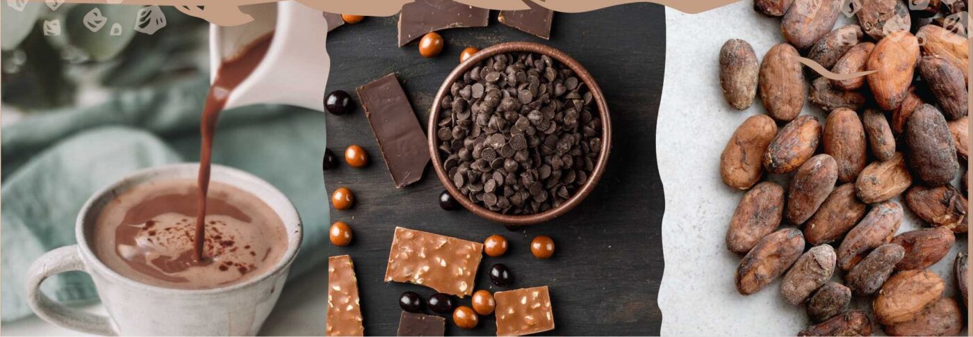 Artisan chocolate from La Alpujarra with cacao, bars, and hot chocolate