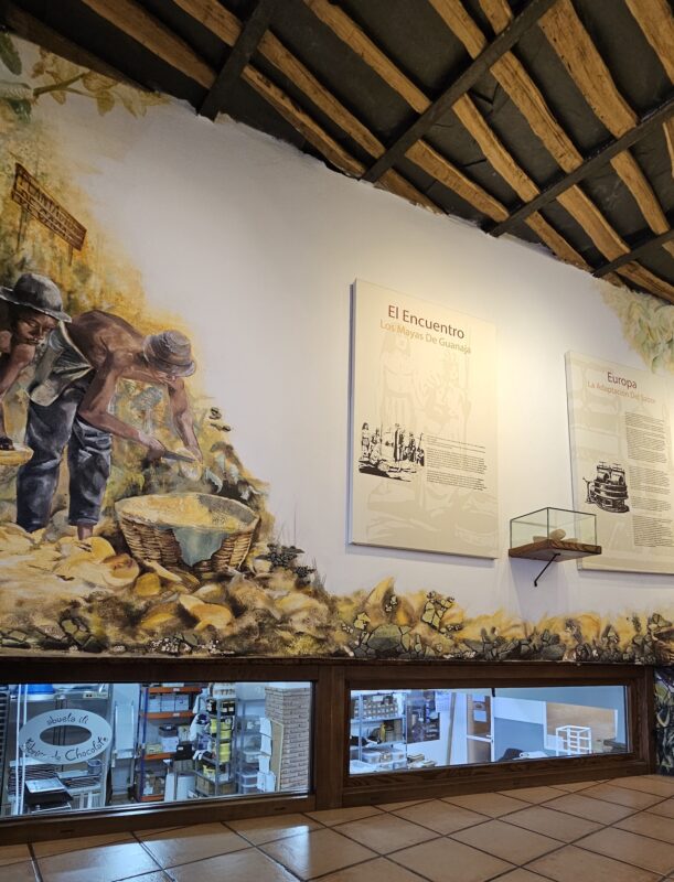 Vista del lateral izquierdo del Museo del Chocolate Abuela Ili con murales sobre el cacao y la fábrica visible al fondo a través del cristal.