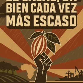 Cultures de cacao touchées par les pluies et les inondations en Afrique de l'Ouest, origine de la crise du cacao 2025, expliquée par Abuela Ili Chocolates.