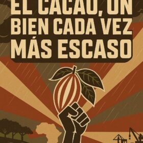 Cultivos de cacao afectados por lluvias e inundaciones en África Occidental, origen de la crisis del cacao 2025, explicada por Abuela Ili Chocolates.